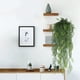 thumbnail image 4 of Decoración de Pared de Ratán Artificial - Hojas Artificiales de Plástico Verde de 80 Cm para Bodas, Banquetes, Balcones y Pasillos - 1 Pieza, 4 of 6