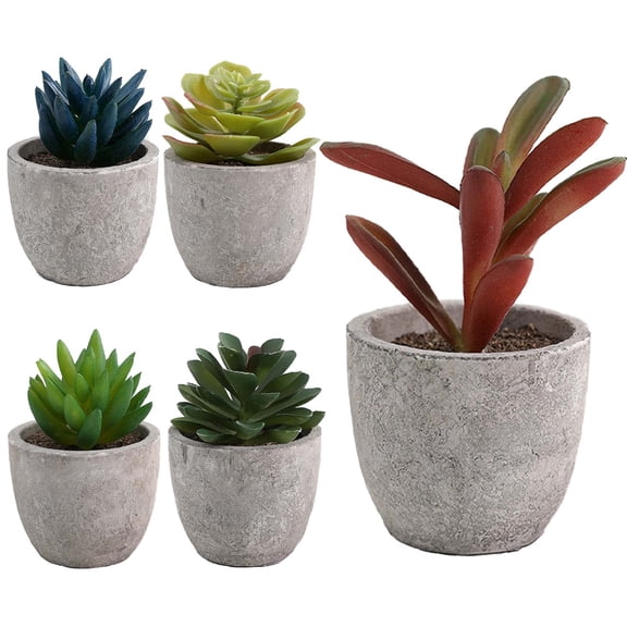 USPEED 5 Pcs Artificial Succulent Plants, Small Fake Desk Plants Mini Succulents Indoor for Shelf Living Room Bedroom Windowsills Office Home Decoration