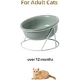thumbnail image 3 of Cuenco de cerámica para gatos, cuenco para gatos, cuenco para gatos con pendiente elevada, cuenco para gatos, cuenco de agua para gatos, suministros para mascotas TUNC Sencillez, 3 of 5