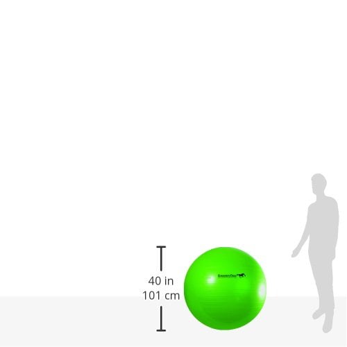 40 inch horse ball