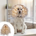 thumbnail image 1 of Xihbxyly Venta de liquidación Peluca con ondas grandes para mascotas, tocado divertido y peculiar para mascotas, peluca con ondas grandes para mascotas, 1 of 6
