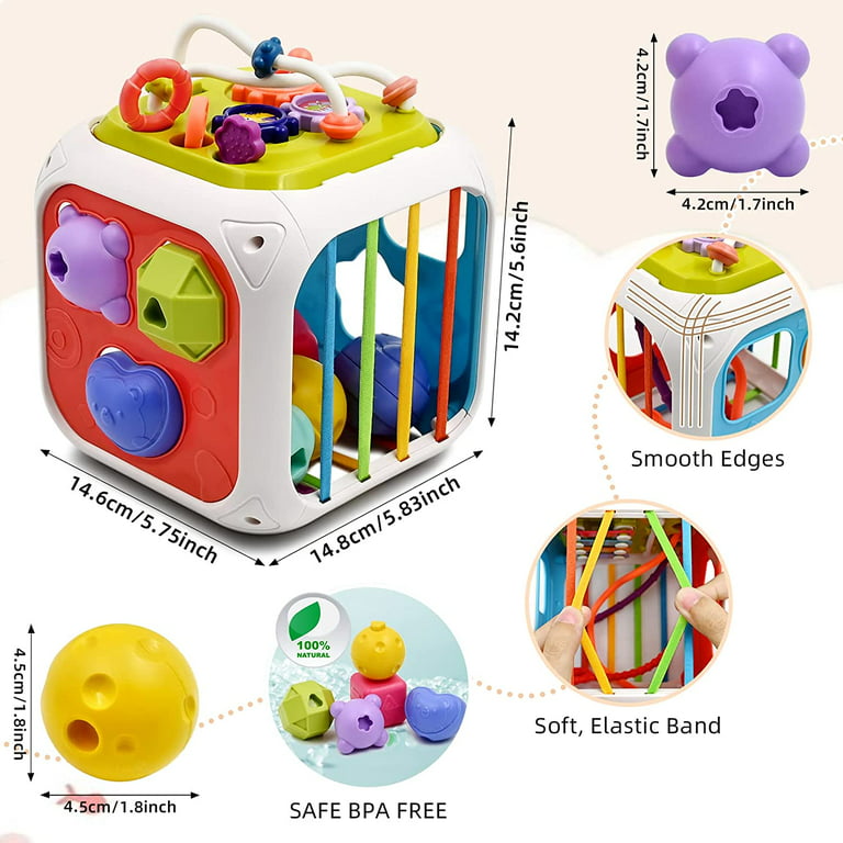 Branch Eco Crayons Montessori Bebe,montessori Baby Toys,waldorf Toys 