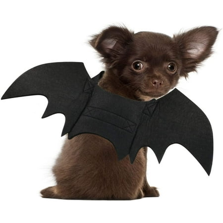 Costume d'aile de chauve-souris personnalisé avec sangles réglables,  accessoire de photo d'Halloween pour animal de compagnie, costume  d'Halloween de chat, cadeau pour chats/chatons/chiens