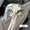 Y, variant on 2-Piece Retro Wedding Car Floral Decoration Set - Elegant Artificial Rose Bouquets for Rearview Mirrors and Door Handles