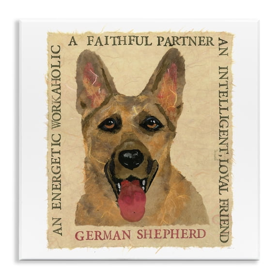 Stupell Industries Farmhouse Fun German Shepherd Phrases Wall Plaque Art, 12 x 12, by Nancy Overton