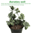 thumbnail image 2 of Viagrow Perlite, 2 CU FT, 2 of 4
