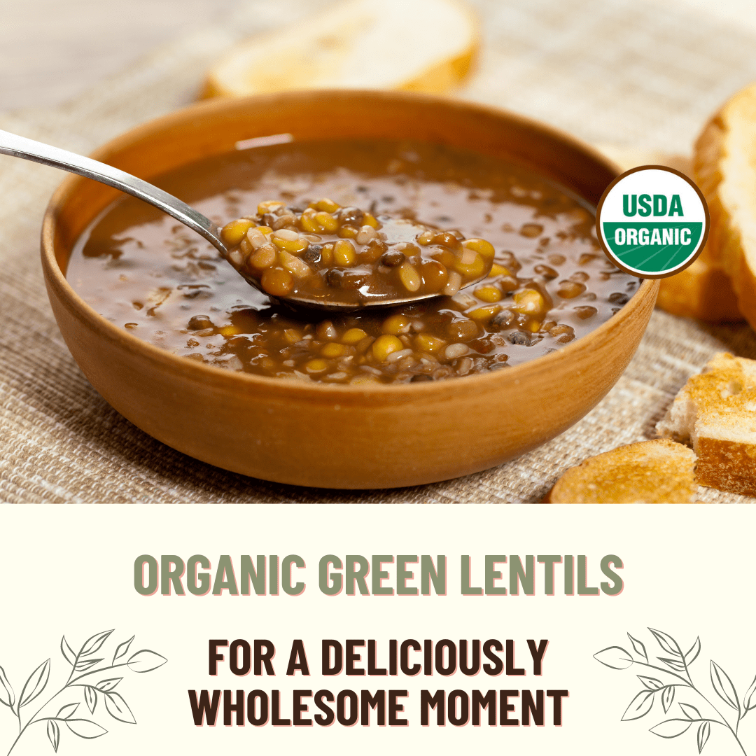 Lentil, Green, 40LB Emergency Bucket, USDA Certified Organic & GMO Free, Sustainable Farming Practices-Mountain High Organics