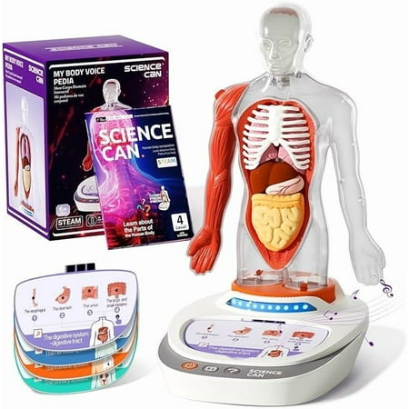 Science Can Human Body Model for Kids - 15PCS Interactzive Anatomy Model with Removable Parts & Guide for STEM Education, Aged 6+ - Fun Interaction Learning Tools