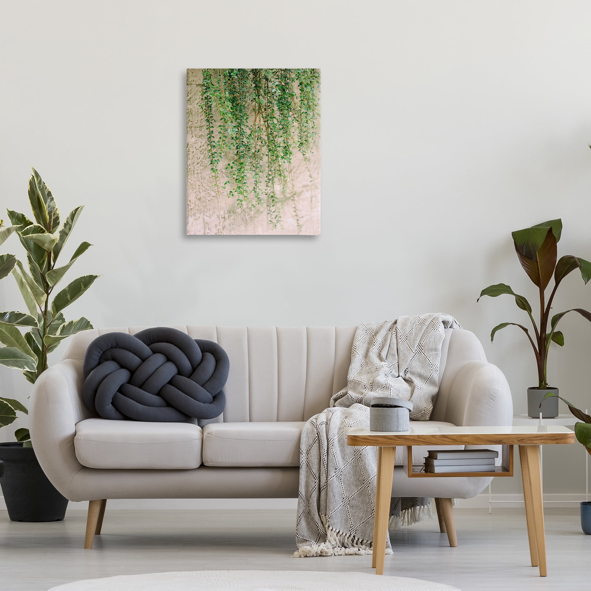 Stupell Industries Hanging Ivy Vines Botanical & Floral Photography Gallery Wrapped Canvas Art Print Wall Art, 24 x 30