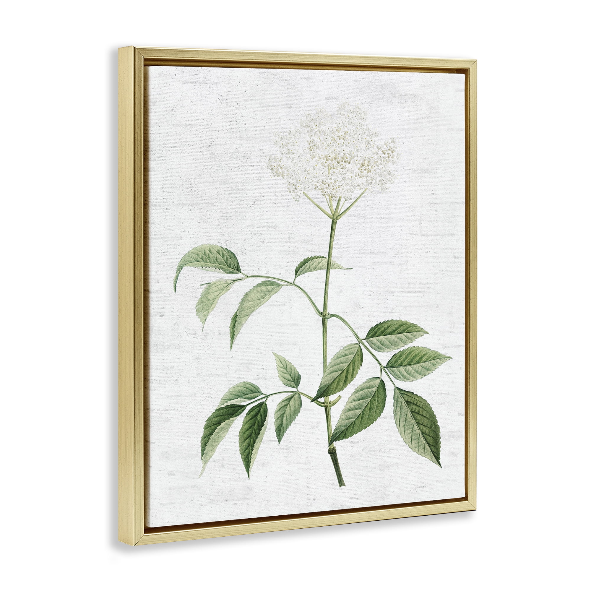 Stupell Industries Subtle Neutral Flower Botanical & Floral Painting Gold Floater Framed Art Print Wall Art, 17 x 21
