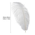 thumbnail image 2 of Ostrich Feathers Decoration Soft Comfortable Touch 35x10x1cm White Ostrich Feathers For Party Home, 2 of 5