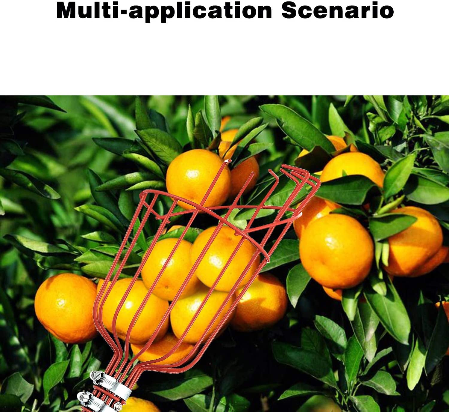 Kepooman Adjustable Fruit Catcher Tool with Basket & Stainless Steel Pole for Getting Fruits, 16.54" * 6.3" * 5.31", Red Kepooman Adjustable Fruit Catcher Tool with Basket & Stainless Steel Pole for Getting Fruits, 16.54" * 6.3" * 5.31", Red