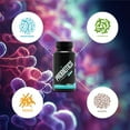 thumbnail image 2 of Sculpt Nation Premium Probiotics Digestive and Gut Health Support for Occasional Constipation, Gas, and Bloating, 30-Day Supply, 2 of 6