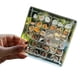 thumbnail image 4 of Caja de exhibición magnética de acrílico de concha marina, pequeño organizador transparente, caja de almacenamiento transparente para cuentas, uñas, joyas (36 rejillas), 4 of 5