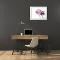 thumbnail image 3 of Aledanda 14x12 White Modern Wood Framed Museum Art Print Titled - Tulip Time I, 3 of 4