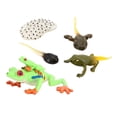 thumbnail image 4 of Figurines de Cycle de Vie Simulation Libellule pour Modèle de Croissance Cadeaux de Fête Enfants Arbre à Il Rouge Grenouille, 4 of 9
