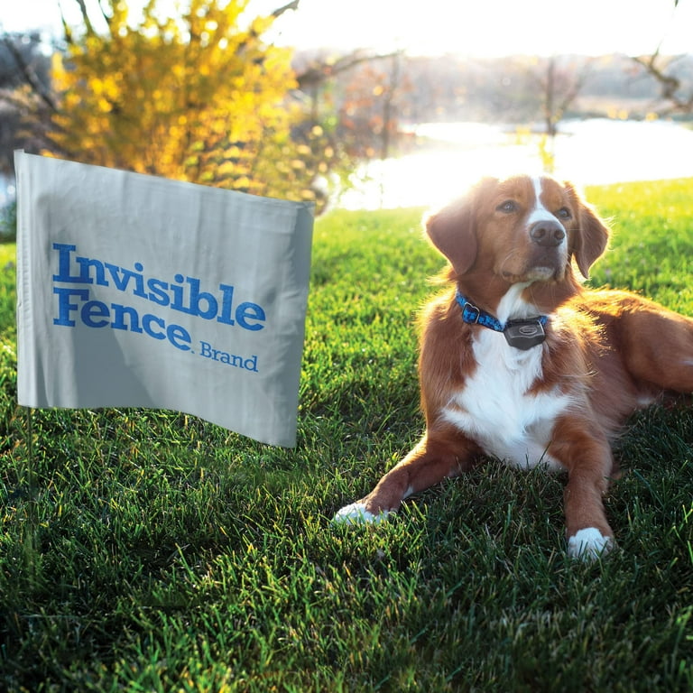 Invisible fence brand power cap hotsell