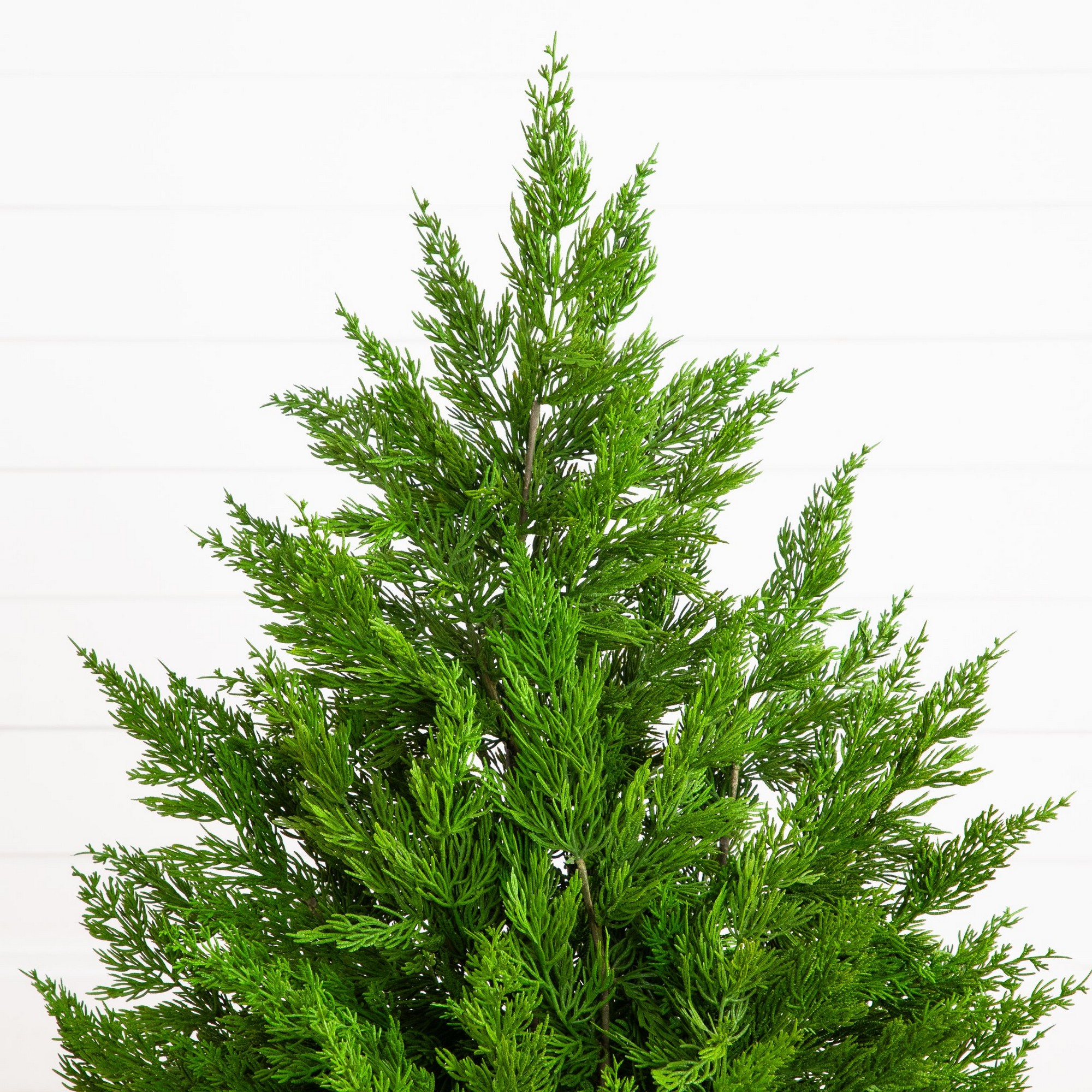 3ft. Artificial Real Touch Winter Cypress Bush in Black Decorative Planter