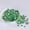 Green, variant on Sequins, Mixed Size Iridescent Gold Plum Blossom Concave Sequins, 1 Pack 0.4 oz, for Handmade DIY Jewelry Nightclub Clothing Accessories Crafts Decoration