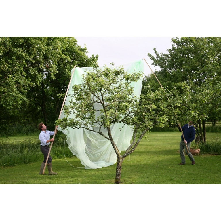 Tierra Garden Haxnicks Fruit Tree Net Cover
