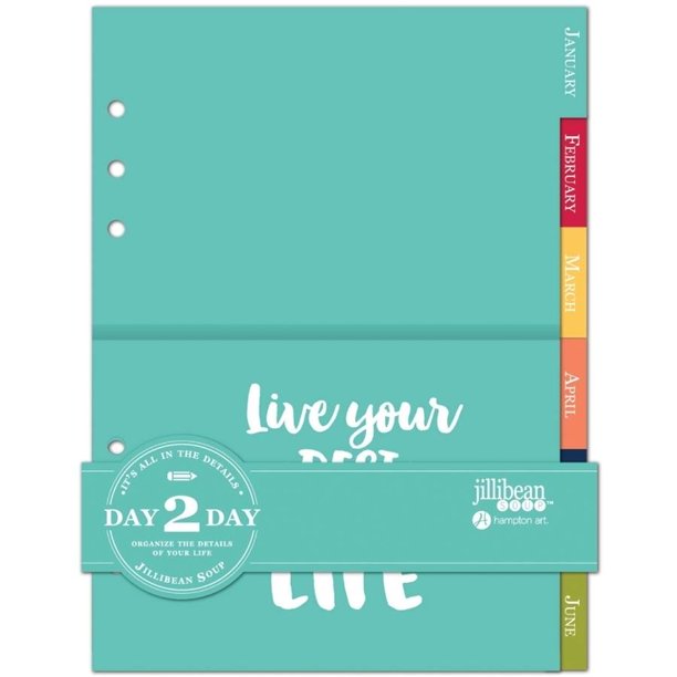 Day 2 Day Planner Folder Dividers, 6" x 8.5" 12pk, Monthly Walmart