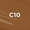 C10, variant on L'Oreal Paris True Match Radiant Serum Concealer, N2 Light, 0.33 fl oz