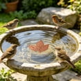 thumbnail image 1 of Bird Bath Plate Decorative Purification Plate with Support Points Natural All Weather Water Suitable for Outdoor Bird Bath Tubs and Bowls Multiple Choices, 1 of 4