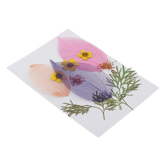 10 piezas das reales naturales, flores secas, hojas de para arte, manualidades, álbumes de recortes, resina, joyería, fabricació Baoblaze Artesanía de hojas secas prensadas DIY