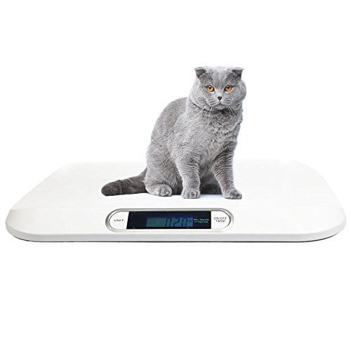Digital Portable Pet Dog Cat Scale 44 lb x 0.22 lb