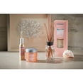 thumbnail image 6 of Yankee Candle Pink Sands Concentrated Room Spray 3-Pack, 6 of 8