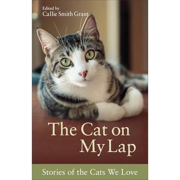 Pre-Owned The Cat on My Lap: Stories of the Cats We Love, 9780800723101, 0800723104, Paperback, Illustrated edition