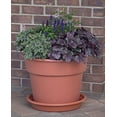 thumbnail image 5 of Bloem 6in Dura Cotta Planter Terra Cotta DC6-46, 5 of 5
