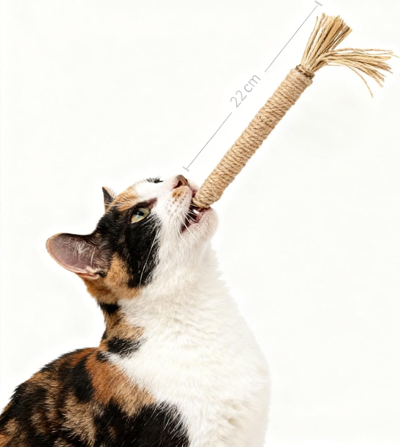 Puriq Natural Silvervine Dental Sticks, Silvervine Sticks for Cats, Interactive Cat Chew Stick for Teeth Cleaning, Scratch & Bite Resistant, for Indoor Kitty Fresh Breath, Healthy Teeth (8-StyleB)
