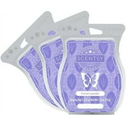 Scentsy, French Lavender, Wickless Candle Tart Warmer Wax 3.2 Oz Bar, 3-Pack (3)