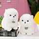 thumbnail image 4 of Pomeranian Puppy Doll Plush Toy - Cute White Dog Simulation Doll - 23cm Doll Pillow - 1pc, 4 of 4