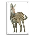 thumbnail image 1 of Epic Art 'Wild and Free VI' by James Wiens, Acrylic Glass Wall Art, 24"x36", 1 of 8