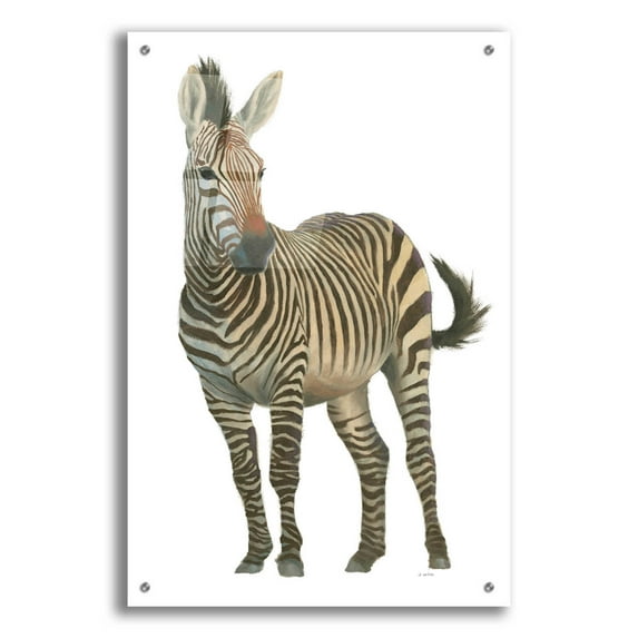 Epic Art 'Wild and Free VI' by James Wiens, Acrylic Glass Wall Art, 24"x36"