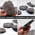 thumbnail image 2 of MasteelfCA 1pc Creative Trilobite Fossil Sample Decor Student Science Teaching Material, 2 of 7