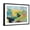 Black Frame, variant on Art.com Headlands Art Print by Jan Weiss, 24" x 18"