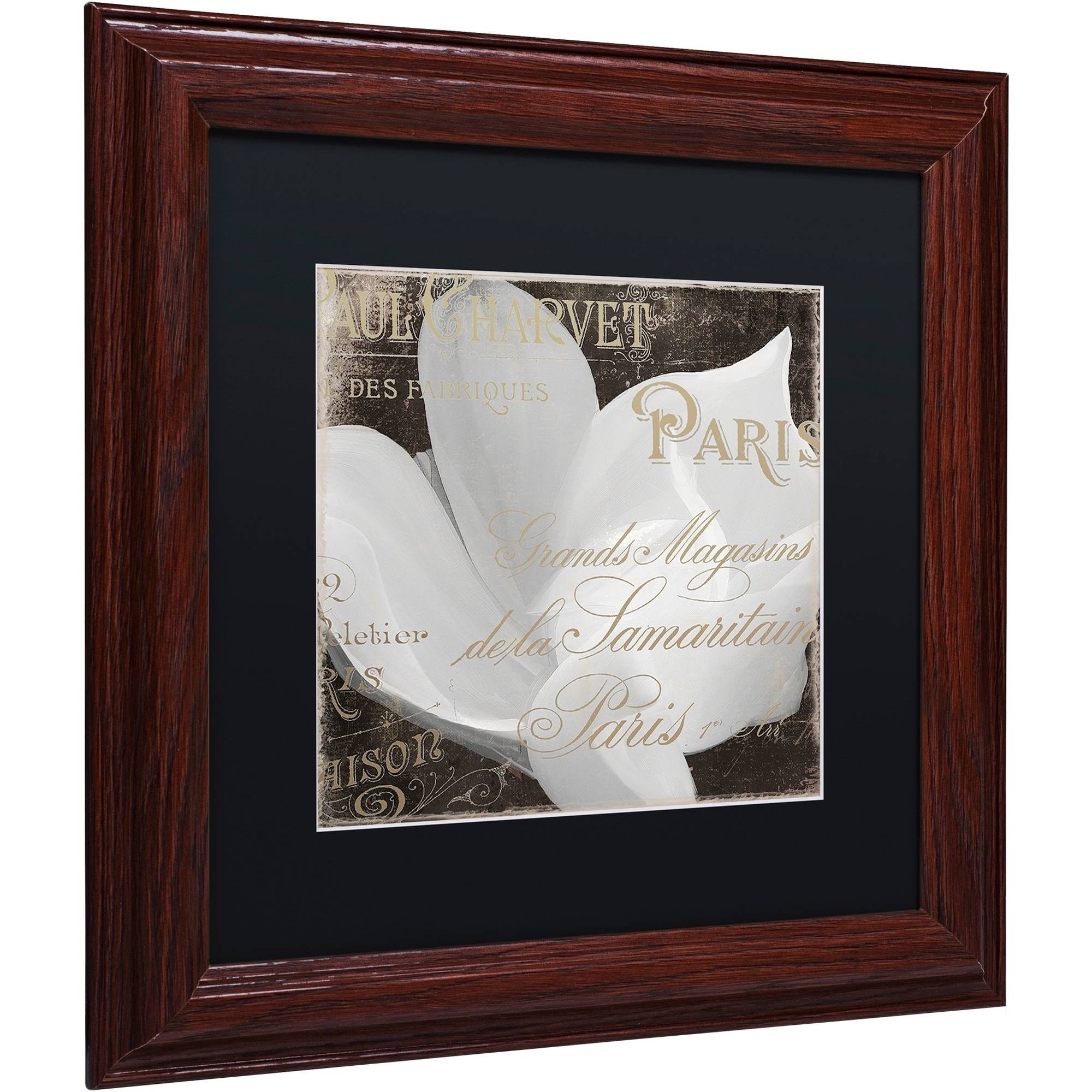 Trademark Fine Art "Fleurs Blanc II" Canvas Art by Color Bakery Black Matte, Wood Frame