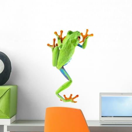 Tree Frogs Mural - Red Eyed Tree Frog Wall Mural Decal by Wallmonkeys Vinyl Peel and Stick Graphic (18 in H x 11 in W)