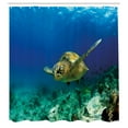 thumbnail image 2 of Ambesonne Undersea Shower Curtain, Swimming Turtle Corals, 69"Wx70"L, Sea Blue and Teal, 2 of 4