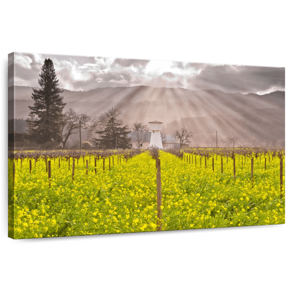 Elephant Stock Napa Valley Vineyards Wall Art - Horizontal Canvas Wall Art - Dining Room Wall Decor - Nature Canvas - Green And Yellow Decor - 12" x 8"