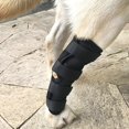 thumbnail image 3 of Eoperou 1Pc Shakeproof Pets Leg Wrap Provide Support Neoprene Fabric Flexible Multifunctional Dog Joint Wrap for Home, 3 of 8