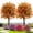 Orange, variant on Artificial Violet For Outdoor Indoor Garden Home Decoration, Uv Resistant & Waterproof Artificial Flower Decor, 23" Ground Insert Faux Violet Flowers For Porch Patio Garden Home Yard