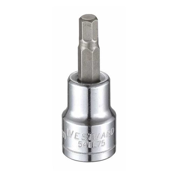 Westward 3/8 in Drive Hex Socket Bit Metric 5.5 mm Tip, 1 3/4 in L 54TL75