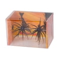 thumbnail image 3 of 2PCS Lure Bait for Black Pits,Simulation Sea Urchin Bait,Tentacle Creature Lure,Artificial Sea Urchins,Soft Wormss for Bass Fishing for Drop Shot and Finesse, Slow Sinking,Black, 3 of 4