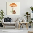 thumbnail image 2 of Mushroom Pinecone Botanicals Botanical & Floral Graphic Art Gallery Wrapped Canvas Print Wall Art, 2 of 7