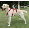 thumbnail image 7 of Levviye Large Dog All-in-One Escape-Proof Harness Oxford Cloth Leash Compatible, Red S, 7 of 7