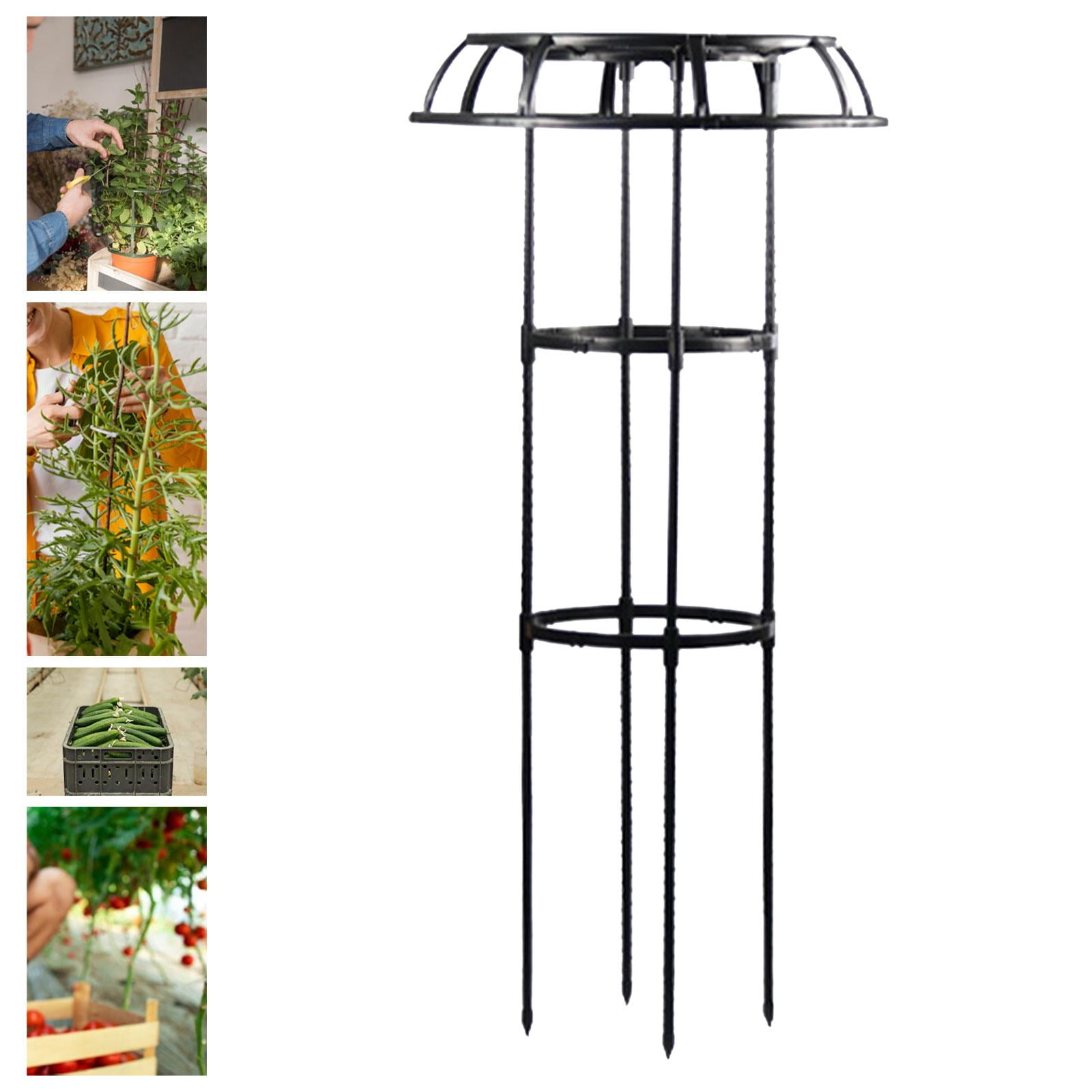 oshhnii Garden Trellis Multipurpose Plant Support Trellis for Roses Vegetables Vines 105x50cm